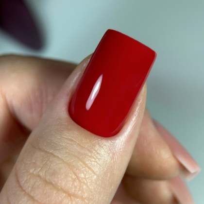 DARK GEL POLISH 137, 10ml - 2 