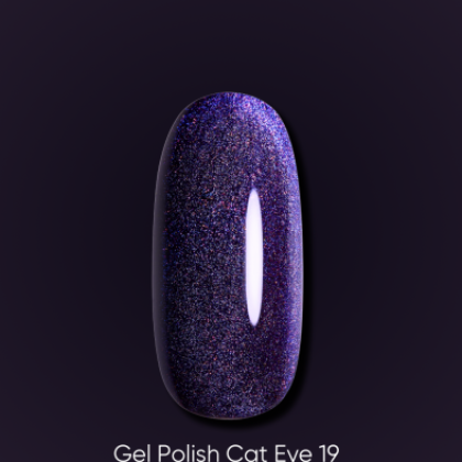DARK GEL POLISH CAT EYE 19, 6 ml - 1 