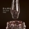 DARK GEL POLISH 164, 10ml - 1