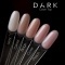 DARK CAMEL TOP, 10 ml - 3