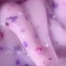 SAGA FLORAL GEL 03, 15ml - 2