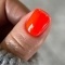DARK GEL POLISH 105, 10 ml - 2