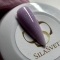 SILA SVETA LIQUID POLIGEL 01 KAEFF (15ml) - 1